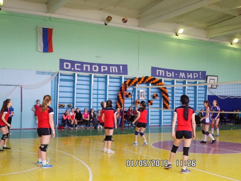 Турнир по волейболу 2015 (фото8).jpg