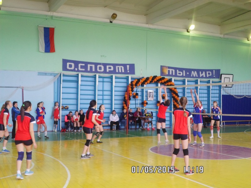 Турнир по волейболу 2015 (фото6).jpg