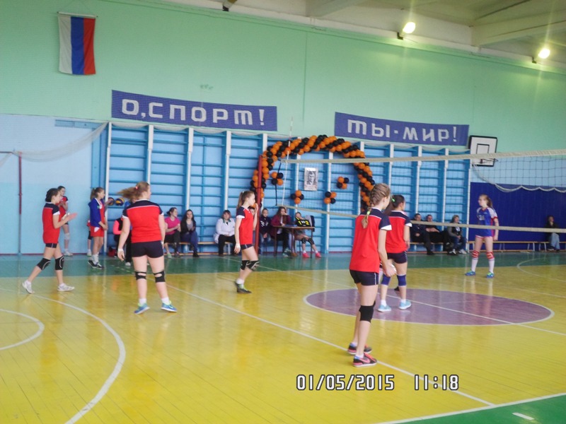 Турнир по волейболу 2015 (фото4).jpg