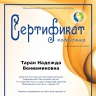 сертификат учительский портал.jpg